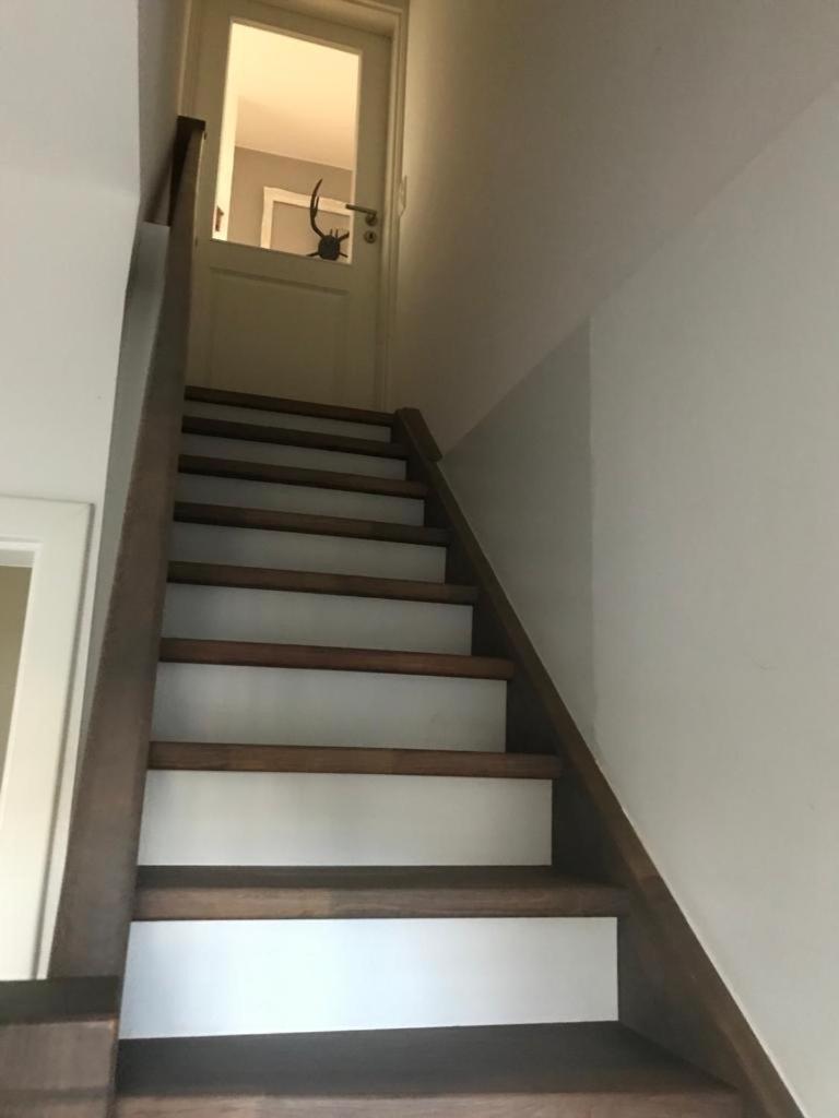Schwalbennest *